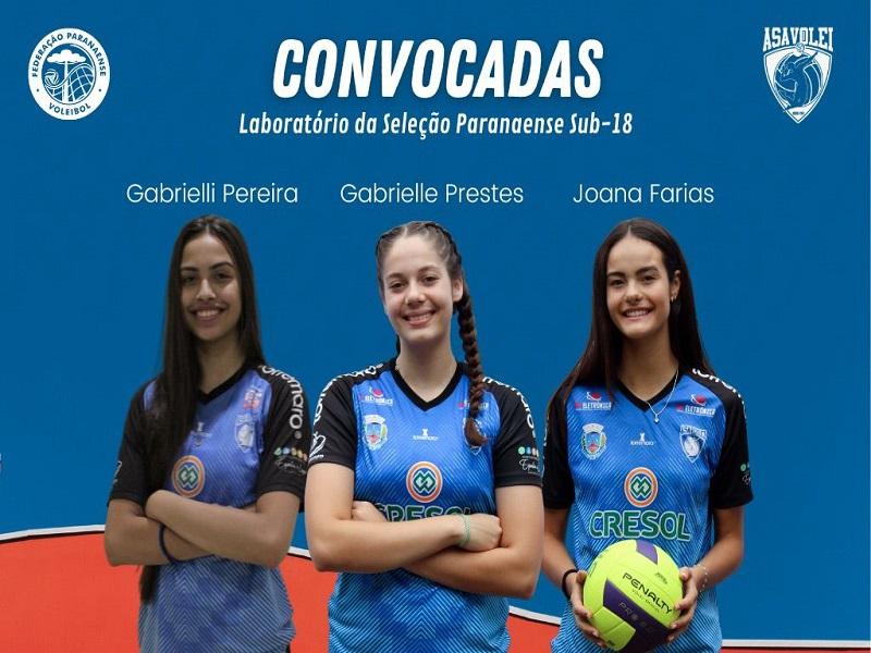 Técnico do time feminino de vôlei do Flu projeta próximo desafio na  Superliga - Fluminense: Últimas notícias, vídeos, onde assistir e próximos  jogos